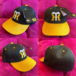 貳拾肆棒球-2024日本帶回 Mizuno pro  波賀 伊藤職人手作特別訂作ICHIRO鈴木一朗式樣硬式外野手套 日 歷史價格詳細信息