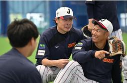 侍手作魚尾髮簪手工原創靈動藍尾巴簡約古迪旗袍盤發紫光檀木簪子 歷史價格詳細信息