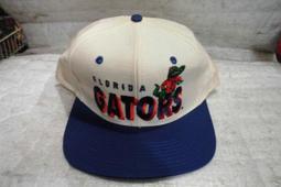 【n0900台灣健立最便宜】2016 SPEEDO-美型連身泳裝 Allover-SD810408A820 深藍-藍 歷史價格詳細信息