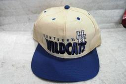 【n0900台灣健立最便宜】2016 SPEEDO-美型連身泳裝 Allover-SD810408A820 深藍-藍 歷史價格詳細信息