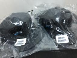 GoPro 原廠 主機+配件收納盒 相機包 配件收納 收納包 ABSSC-001 台南PQS 歷史價格詳細信息