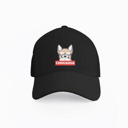 NORTH HARBOUR CAP 北歐風經典帽子老帽(帽沿夾心-夾三文) 附防塵袋 【 PUNX 】 歷史價格詳細信息