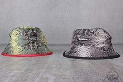 Supreme The North Face Mountain Parka 歷史價格詳細信息