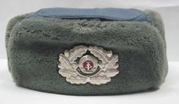 東德 NVA 公發 雨滴迷彩(麥桿迷彩) 水壺 含水杯 全新品 歷史價格詳細信息