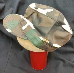 【 美軍叢林蟒蛇迷彩戰術長褲 作戰褲 特警褲 蛇紋迷彩褲 工作褲迷彩服 勤務褲 特勤響尾蛇戰術褲 S 】 歷史價格詳細信息