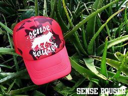 網帽╭☆&deg;安可小舖＊ed hardy鬼頭6朵玫瑰網帽棒球帽造型帽子流行帽子鴨舌帽 帶鑽時尚潮流 歷史價格詳細信息