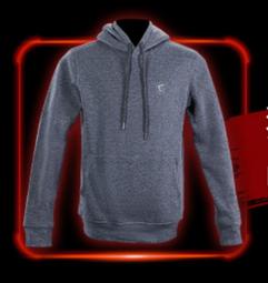 微星 紅龍  MSI Geforce GTX 1080 Ti GAMING X 11G MS-V360 顯示卡 歷史價格詳細信息