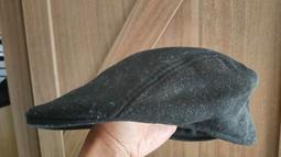 全息舌診扶陽醫學中醫書籍傅文錄扶陽講義中原火神舌診 歷史價格詳細信息