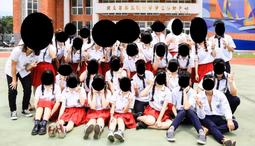 【單買】夏日熱銷款 天絲 枕頭套 多規格可選 100%天絲 棉床本舖 台灣製 歷史價格詳細信息