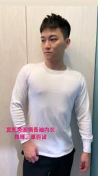 宜而爽四角白內褲 三槍牌四角白內褲 公司貨 歷史價格詳細信息