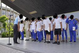 【單買】夏日熱銷款 天絲 枕頭套 多規格可選 100%天絲 棉床本舖 台灣製 歷史價格詳細信息