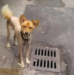 南橫公路????紙紮財寶箱????做七百日對年忌日 清明端午中元中秋重陽過年 祭祖祭祀普渡 冤親債主 好兄弟 往生用品 歷史價格詳細信息