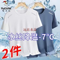 現貨 啄木鳥TUCANO真皮皮帶男士牛皮針釦腰帶簡約百搭-簡約 歷史價格詳細信息