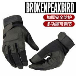 手套男士秋冬季青年情侶手套加厚男女士冬季騎行保暖戶外抓絨手套 歷史價格詳細信息