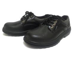 熱銷☆奈特人體神經解剖彩色圖譜 - （美）費爾騰 等原著，崔益群 主譯 2006-09-01 人民 歷史價格詳細信息