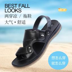 兩用雙色捲軸著色板 歷史價格詳細信息