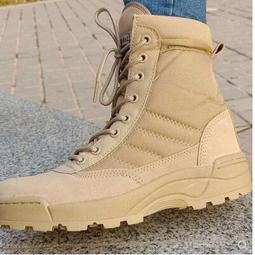 ❤免運❤4瓶 黃金亞麻仁油 500ml裝  冷壓初榨 素的魚油 歷史價格詳細信息