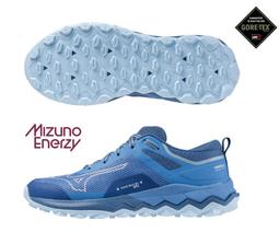 Mizuno 美津濃 越野跑鞋 Wave Ibuki 4 GTX 男鞋 藍 黑 防水 輪胎大底 運動鞋 J1GJ2259-11 歷史價格詳細信息
