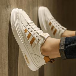 【免搭板】AMD R5 9600X 全新 歷史價格詳細信息