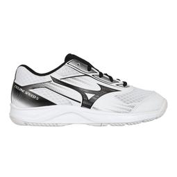 &equiv;排汗專家&equiv;MIZUNO CYCLONE SPEED 4 女排球鞋( 美津濃 訓練「V1GC238010」 免運 歷史價格詳細信息