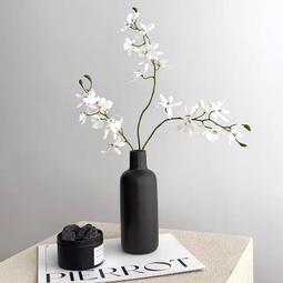 台灣現貨！高品質眼影刷 圓頭斜頭眼影刷 刷眼線刷 美睫梳 唇刷眉刷海綿頭眼影刷 高CP值刷具 單支化妝刷 品質佳 歷史價格詳細信息