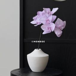 台灣現貨ins簡約風白底英文A6筆記活頁本6孔手帳收納冊拍立得愛豆小卡相冊 歷史價格詳細信息