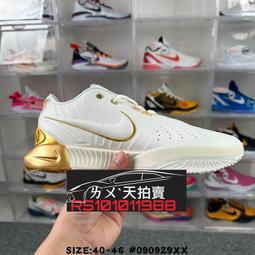 Nike Lebron XXI 21 PE 珍珠白黑 實戰 LBJ 訓練 MVP 籃球鞋 HF5842-100 歷史價格詳細信息