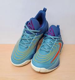 兒童足球鞋 NIKE足球鞋 JR系列 平底 無碎釘 足球鞋 男童鞋 草地款 室內專用足球鞋 P7169#銀色 歷史價格詳細信息