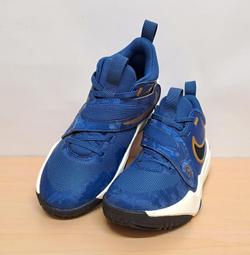 ✩Pair✩ NIKE TEAM HUSTLE D 11 SE (GS) 籃球鞋 FJ1390-001 大童鞋 黏扣帶 歷史價格詳細信息