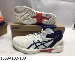 Asics 籃球鞋 Gelhoop V13 2E 寬楦頭 男鞋 白 銀 日式 亞瑟士【ACS】 1063A033-100 歷史價格詳細信息