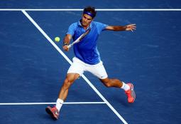 Federer同款網球服t恤高品質polo衫運動上衣-至簡原創 歷史價格詳細信息