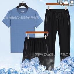 2024夏季男士新款立領亞麻短袖中國風刺繡寬鬆短袖休閒T恤上衣男 歷史價格詳細信息