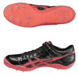 asics 亞瑟士 日本製 GRAND ROAD 硬式棒球 白樺木 棒球棒 (3121A257-201) 歷史價格詳細信息