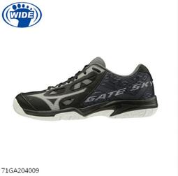 【時代體育】Mizuno 羽球針織短褲 72TB700109 歷史價格詳細信息