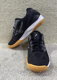 = 威勝 運動用品 = 23年 Mizuno PRO KNOCK 日製教練棒 1CJWK16792-1421 歷史價格詳細信息