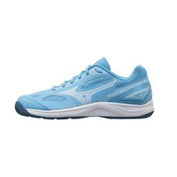 Mizuno SKY BLASTER 男 藍 運動 訓練 羽球鞋 71GA204525 歷史價格詳細信息
