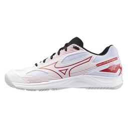 【MIZUNO 美津濃】CYCLONE SPEED 5 男女款排球鞋 V1GA258051 V1GA258156(排球鞋) 歷史價格詳細信息