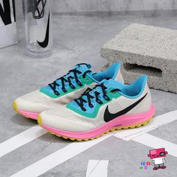 球鞋補習班 NIKE AIR ZOOM PEGASUS 41 粉彩綠 緩震 慢跑鞋 小飛馬 男女 HM3703-161 歷史價格詳細信息