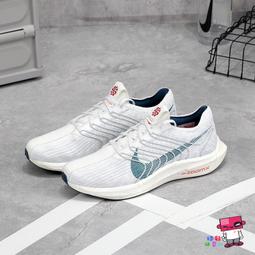 球鞋補習班 NIKE PEGASUS PLUS WHITE 鉑金白黑 緩震 透氣 男女慢跑鞋 編織 FQ7262-100 歷史價格詳細信息