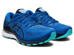 棒球世界 全新ASICS GEL-KAYANO 24 女慢跑鞋T799N-4840特價 歷史價格詳細信息
