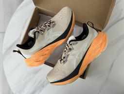 ASICS 亞瑟士 NOVABLAST 4 (2E) 男款 寬楦 彈力 慢跑鞋 1011B694-300 歷史價格詳細信息