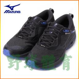 Mizuno 慢跑鞋 Wave Rider GTX 男鞋 防水 寬楦 超寬楦 路跑 運動鞋 美津濃 任選 【ACS】 歷史價格詳細信息
