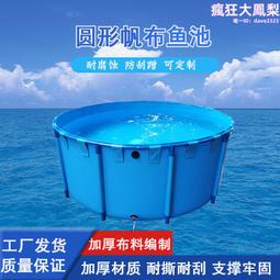 錦鯉養殖實用技法  占家智、姚同炎、羊茜 編著 歷史價格詳細信息