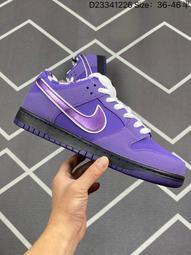 [鞋多多]耐吉 Nike SB Dunk Low 扣籃系列 低幫 休閑 運動鞋 滑板鞋 歷史價格詳細信息