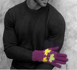 火力全開888 保暖保護輕便耳罩 防灰塵  防凍傷 保暖 輕巧方便 好用 歷史價格詳細信息