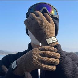 手套女冬季加絨加厚棉保暖毛線秋冬騎車騎行男東北冬天防寒可觸屏 歷史價格詳細信息