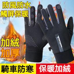 保暖防風手套【升級款】(升級防水/加厚內裡) 機車手套 騎士手套 歷史價格詳細信息