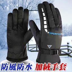 可調節厚墊挺版內衣背心 細肩背心 防走光無鋼圈運動背心 手掌胸墊 內衣背心 素色內衣 C15 歷史價格詳細信息