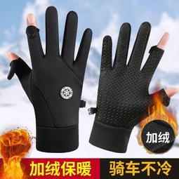 秋冬戶外騎行抗寒防風觸屏觸碰手套(贈三用印花圍巾) 歷史價格詳細信息