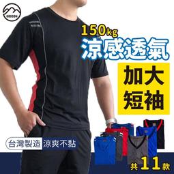 現貨 多款加大實木托盤 木盤 原木托盤 原木盤 日系木盤 家用木盤 小托盤 盤子 圓盤 櫸木盤 文青木盤 木托盤-滿599免運 歷史價格詳細信息